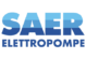 Saer