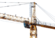 Grues