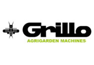 Grillo