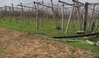 À vendre Pergola pour vigne – Bon état complet