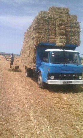 À vendre Camion plateau sans ridelles Ford Bon état complet