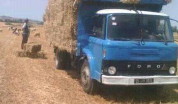 À vendre Camion plateau sans ridelles Ford Bon état complet