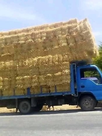 À vendre Camion plateau avec ridelles Isuzu NKR 66 Bon état complet