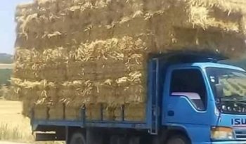 À vendre Camion plateau avec ridelles Isuzu NKR 66 Bon état complet