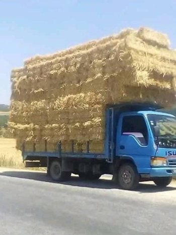 À vendre Camion plateau avec ridelles Isuzu NKR 66 Bon état complet