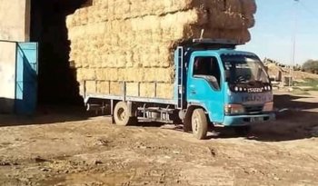 À vendre Camion plateau avec ridelles Isuzu NKR 66 Bon état complet