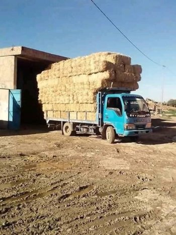 À vendre Camion plateau avec ridelles Isuzu NKR 66 Bon état complet