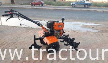 À vendre Motoculteur Genkins GK1350D Neuf JAMAIS UTILISE complet