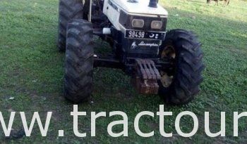À vendre Tracteur Lamborghini 774-80N Bon état complet