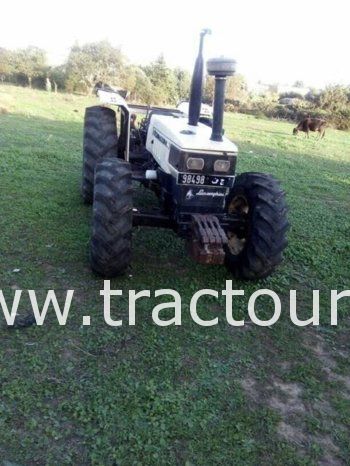 À vendre Tracteur Lamborghini 774-80N Bon état complet