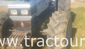 À vendre Tracteur Lamborghini Cross 874-95 N Bon état complet