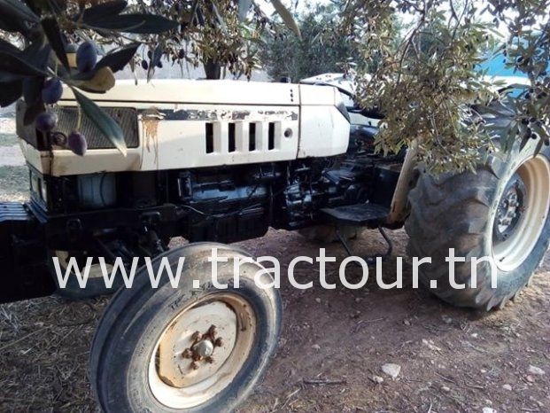 À vendre Tracteur Lamborghini Cross 674-70 N Bon état complet