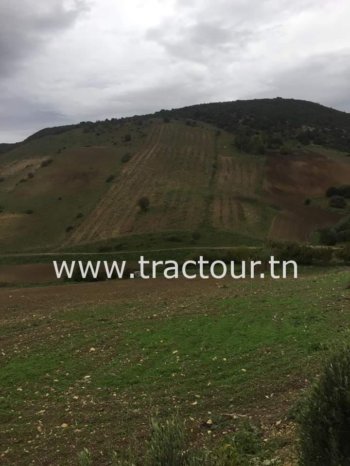 À vendre Terrain agricole avec ferme – Neuf en excellent état complet