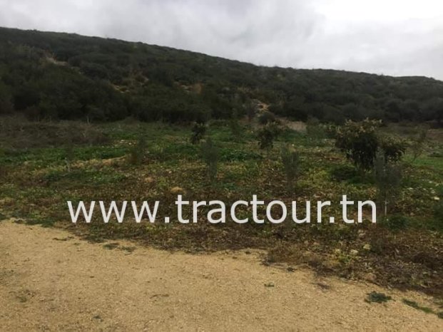 À vendre Terrain agricole avec ferme – Neuf en excellent état complet