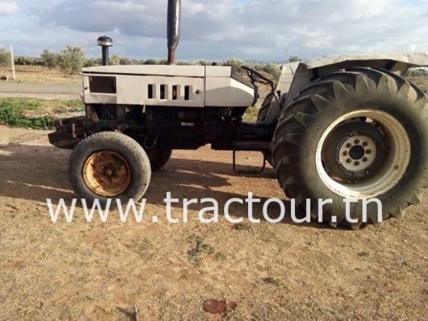 À vendre Tracteur Lamborghini 674-70 N Bon état complet