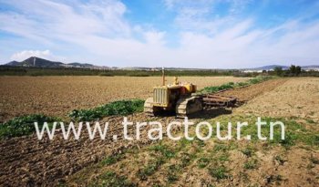 À vendre Tracteur à chenilles Caterpillar D4 Bon état complet