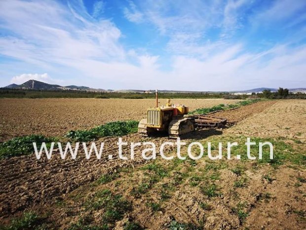 À vendre Tracteur à chenilles Caterpillar D4 Bon état complet