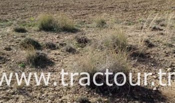 À vendre Terrain agricole nu للبيع أرض فلاحية جبلية صالحة للزراعية و المرعى complet