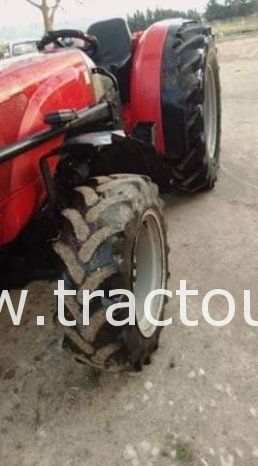 Cherche tracteur arboricole Landini Rex 85ch, Massey Ferguson ou New Holland ابحث عن / نلوج على complet