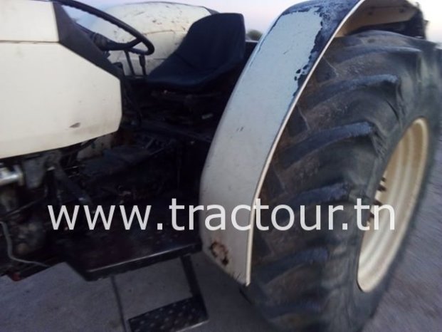 À vendre Tracteur Lamborghini 674-70 N Bon état complet