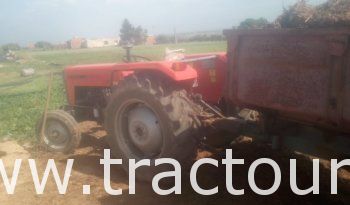 À vendre Tracteur Tafe 45 DI Neuf en excellent état complet