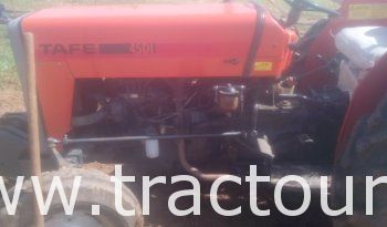 À vendre Tracteur Tafe 45 DI Neuf en excellent état complet