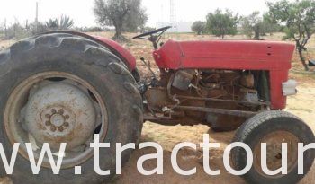 À vendre Tracteur Massey Ferguson 135 Bon état complet