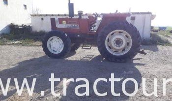 À vendre Tracteur Fiat 1180 Bon état complet