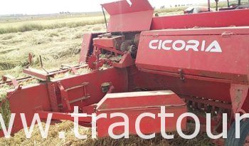 À vendre Presse à paille – Brissa Cicoria 2747F complet