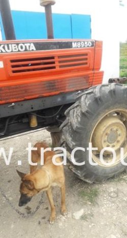À vendre Tracteur Kubota M8950 complet