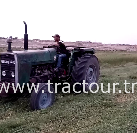 À vendre Tracteur Al Jadah 290 avec CARTE GRISE complet