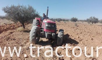 À vendre Tracteur Mahindra 8000 complet