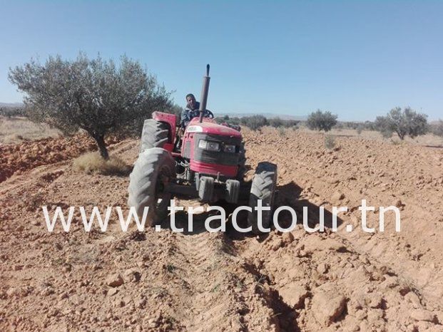 À vendre Tracteur Mahindra 8000 complet