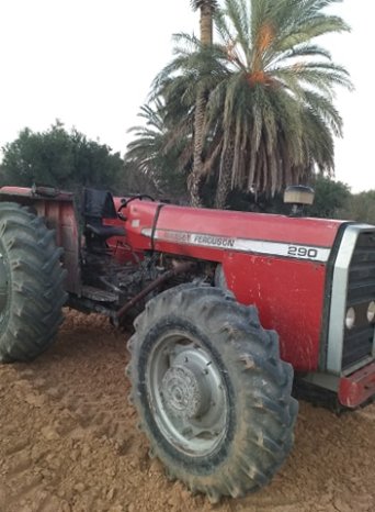 À vendre Tracteur Massey Ferguson 290 complet