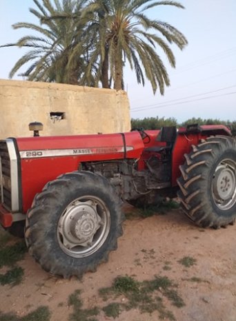 À vendre Tracteur Massey Ferguson 290 complet