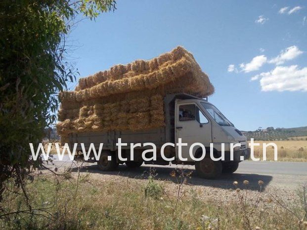 À vendre Camion plateau avec ridelles Renault B110 moteur OM 40 complet