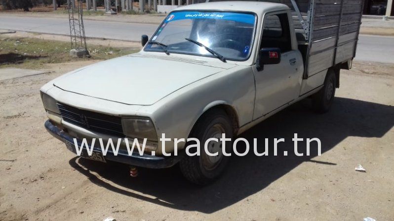 À vendre Camionnette 2 portes avec benne Peugeot 504 complet