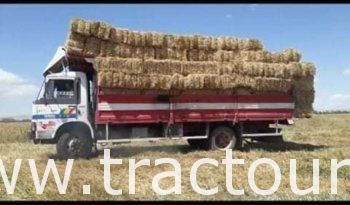 À vendre Camion plateau avec ridelles Fiat Iveco 100-13 complet