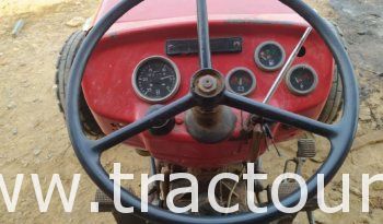 À vendre Tracteur Massey Ferguson 240 ➕ déchaumeuse à 9 disques complet