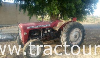 À vendre Tracteur Massey Ferguson MF 35 ➕ semi remorque agricole benne complet