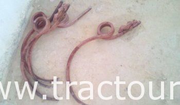 À vendre 3 dents canadienne/Fanyoura/m7acha complet
