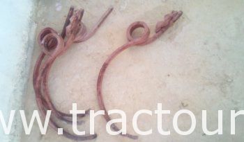 À vendre 3 dents canadienne/Fanyoura/m7acha complet