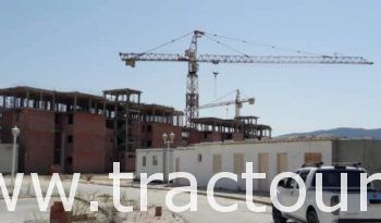 À vendre Grue à tour Pingon Hauteur 50 m Porté 55 m Charge 14 tonnes complet