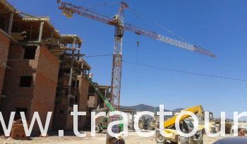 À vendre Grue à tour Pingon Hauteur 50 m Porté 55 m Charge 14 tonnes complet