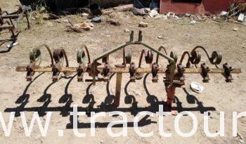 À vendre 2 Canadiennes à queue de cochon 09 dents – Kindyel Cultivateur M7acha complet