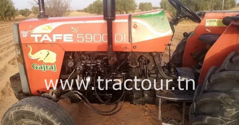 Cherche (ابحث) tracteur Tafe 5900 DI simple ou double  نلوج على جرار complet