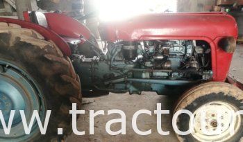 À vendre Tracteur Massey Ferguson MF 35 avec carte grise complet