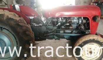 À vendre Tracteur Massey Ferguson MF 35 avec carte grise complet