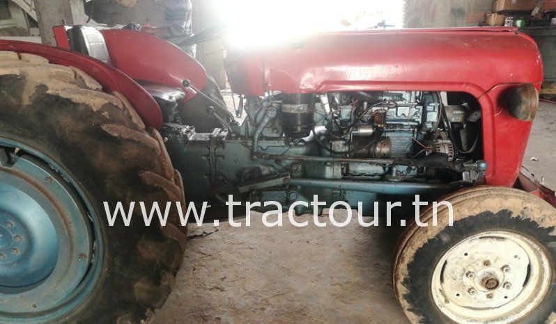 À vendre Tracteur Massey Ferguson MF 35 avec carte grise complet