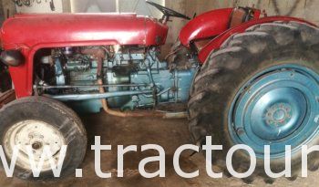 À vendre Tracteur Massey Ferguson MF 35 avec carte grise complet